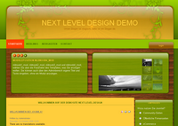 IBSI-US.COM Affordable Custom Web site design Tampa Florida